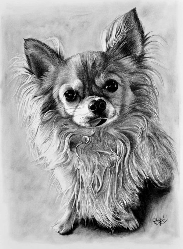 Kresba psíka